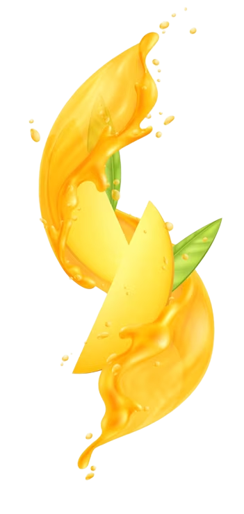 image 341
