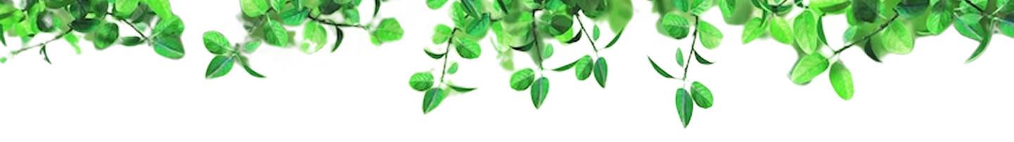 image 343