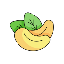 cashew